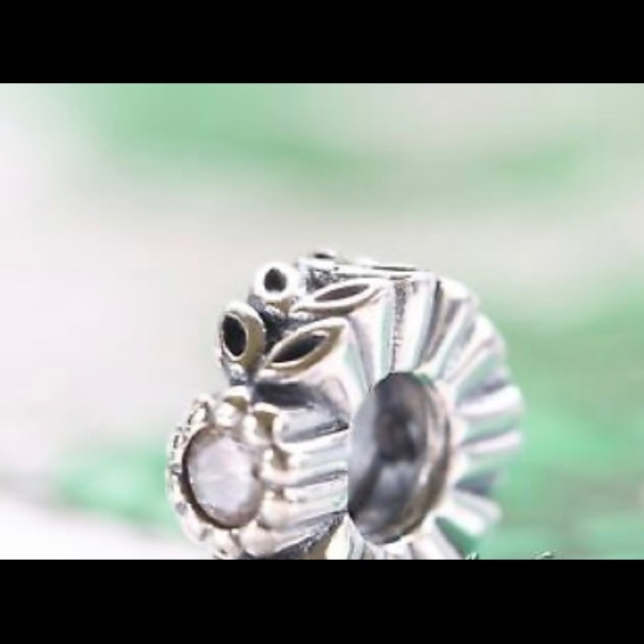 PANDORA CHARM SPACER - Picture 2 of 2